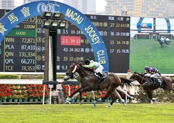 澳门六今晚开什么特马,平衡执行计划实施_XDO41.797挑战版