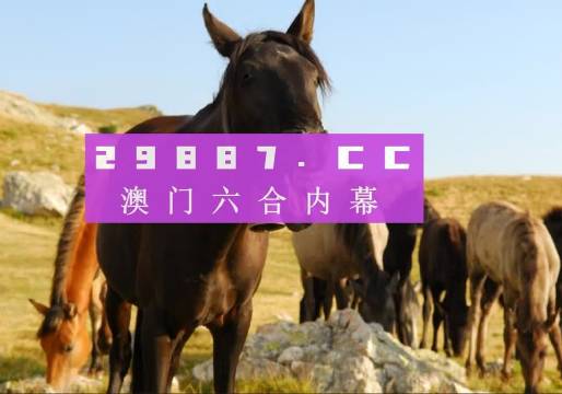 服务案例 第392页