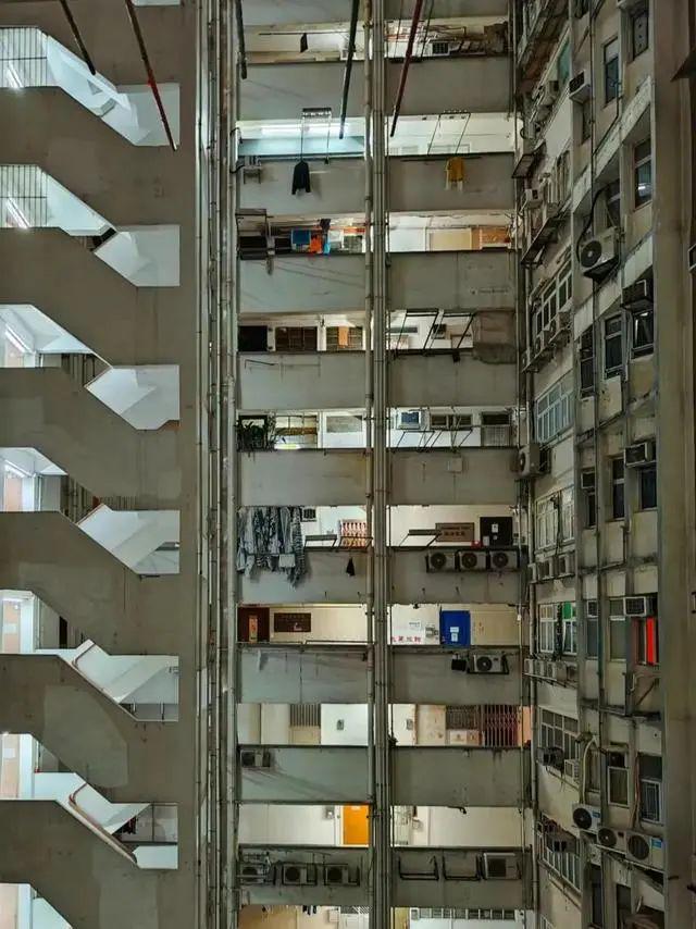 楼凤全国最新动态深度解析，背景、事件与地位探究