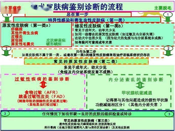 最新甲亢交流群，爱的纽带与温馨的日常互动