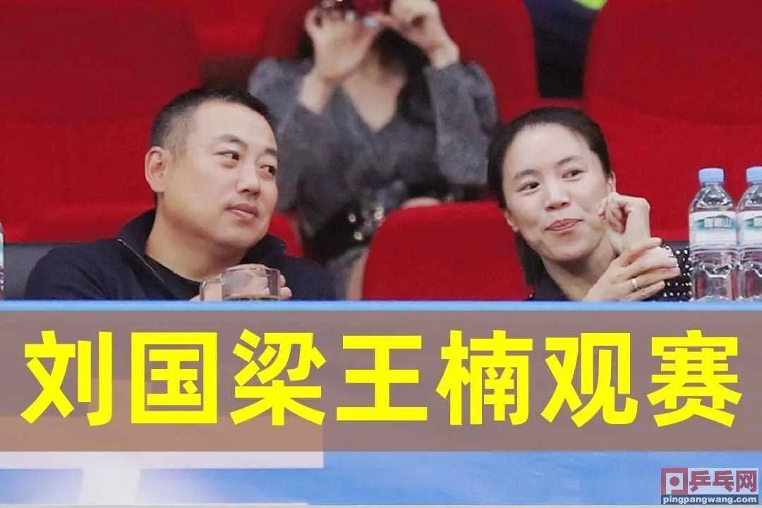 全运会乒乓球动态更新，爱与陪伴的乒乓盛宴