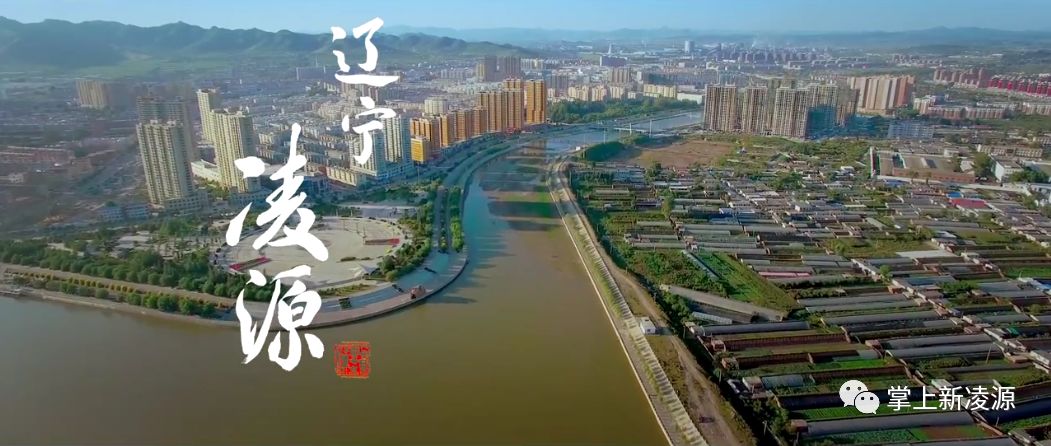 服务案例 第12页