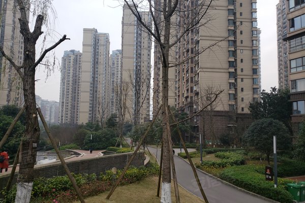 宜宾山水原著最新动态，详细步骤指南与最新消息解析