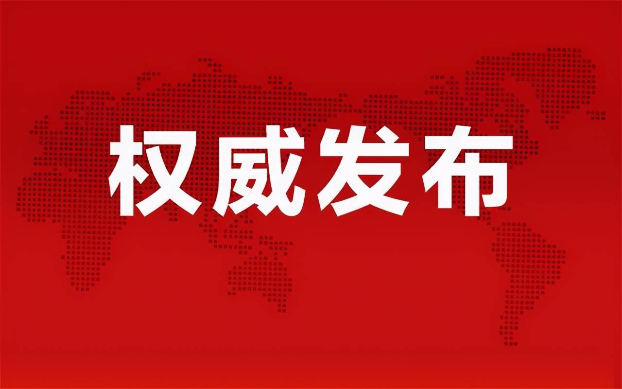 大同亿丰最新动态揭秘，小巷中的隐藏宝藏今日更新