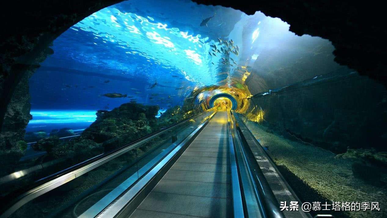 琼州海底隧道科技巨献，开启海底新纪元最新消息！